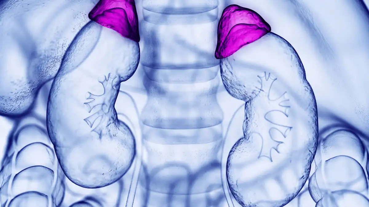 Adenoma adrenal: sintomas, causas e tratamento